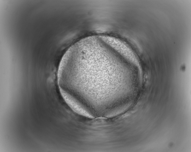 X0000102401349200808151934