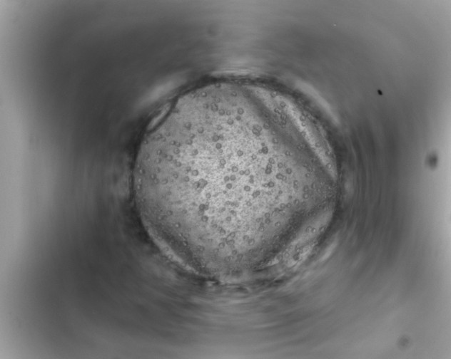 X0000102401350200808151934