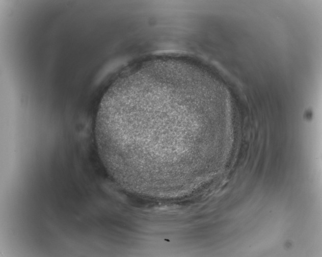 X0000102401351200808151934