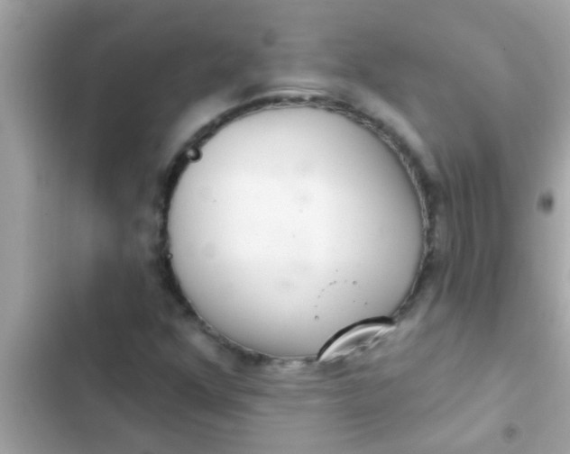 X0000102401352200808151934