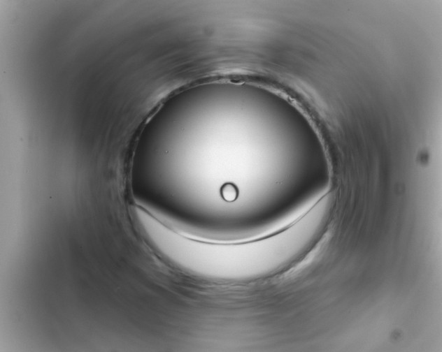 X0000102401353200808151934