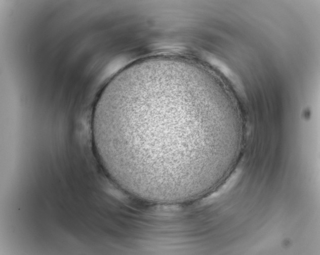 X0000102401354200808151934