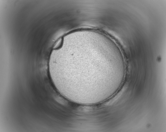 X0000102401355200808151934