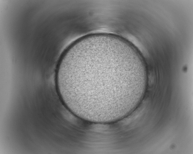 X0000102401356200808151934