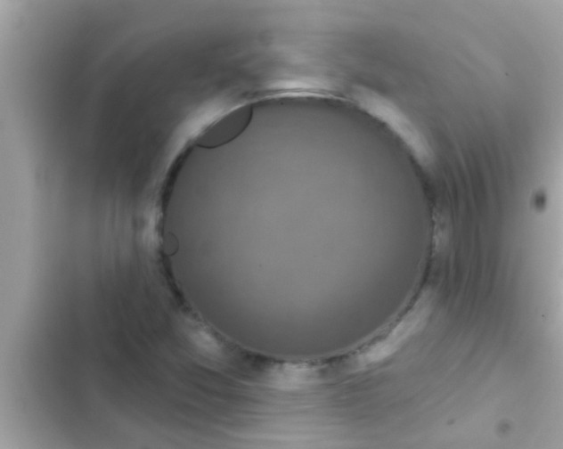 X0000102401357200808151934