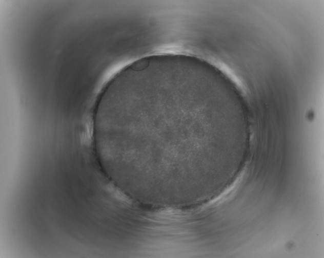 X0000102401358200808151934