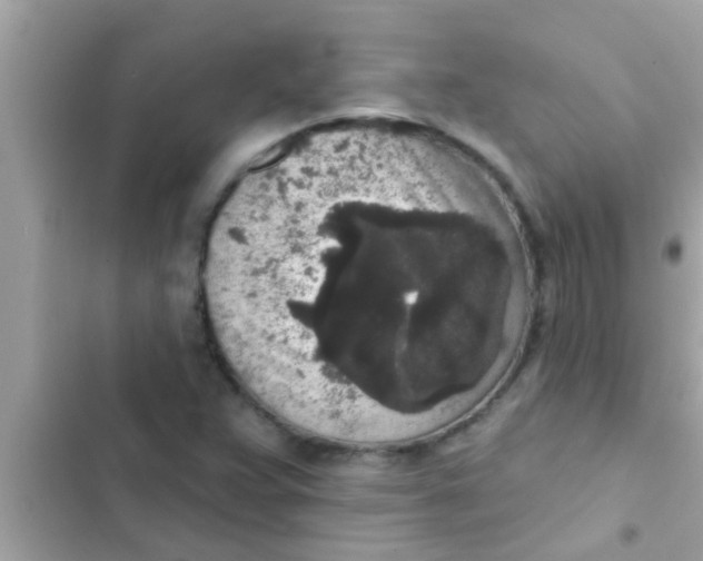 X0000102401359200808151934