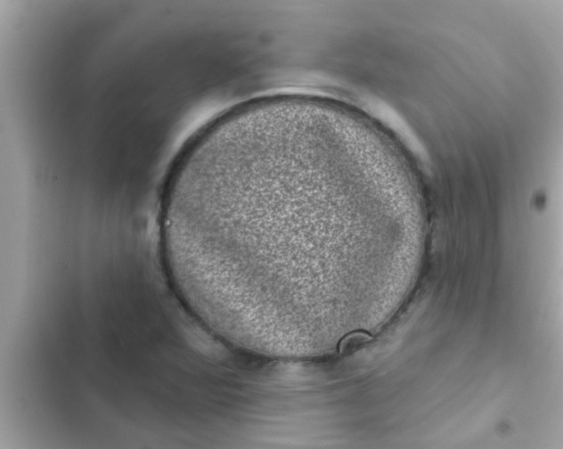 X0000102401360200808151934