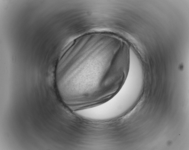 X0000102401361200808151934