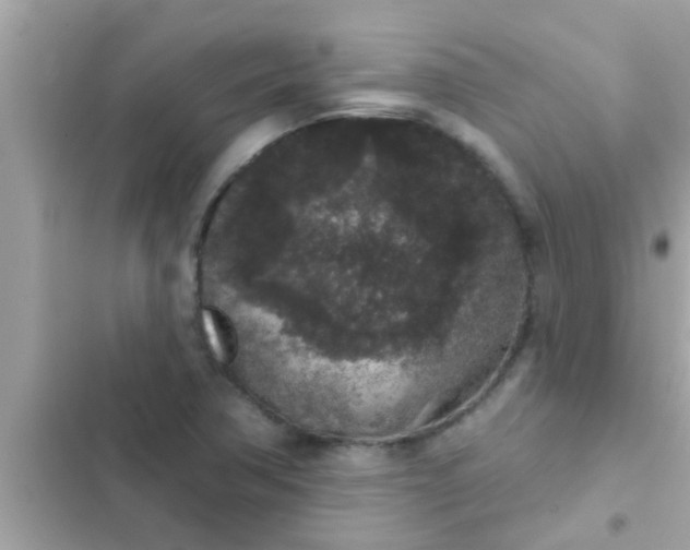 X0000102401362200808151934