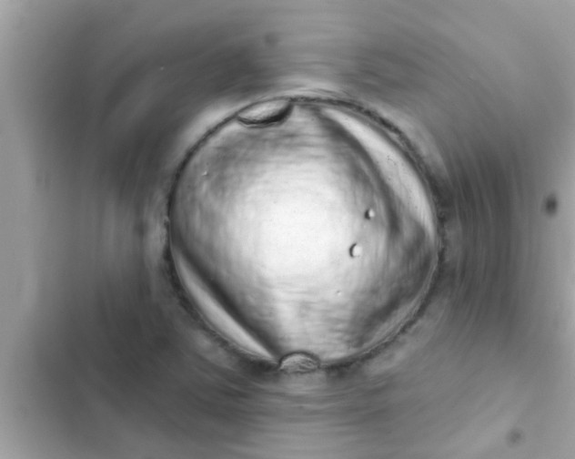 X0000102401363200808151934