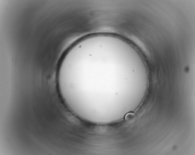 X0000102401364200808151934