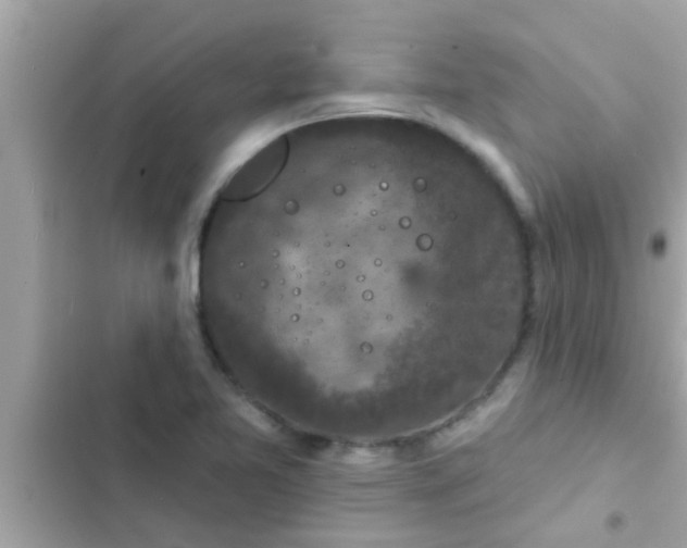 X0000102401365200808151934