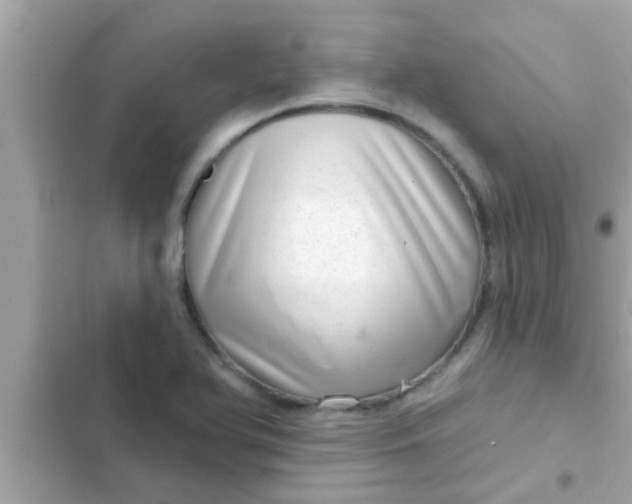 X0000102401366200808151934