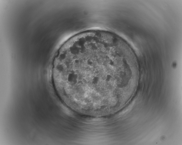 X0000102401367200808151934