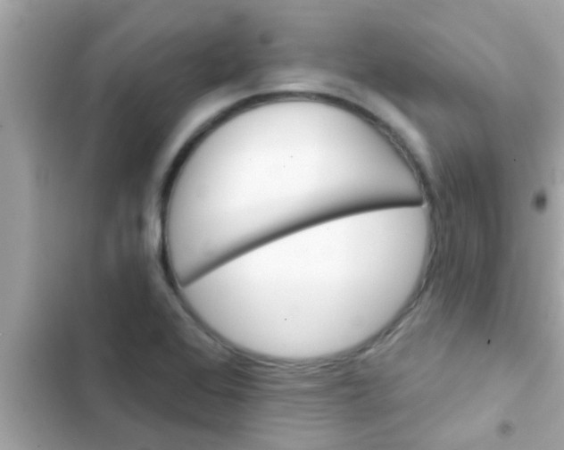 X0000102401368200808151934