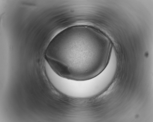 X0000102401369200808151934