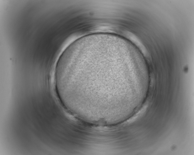 X0000102401370200808151934