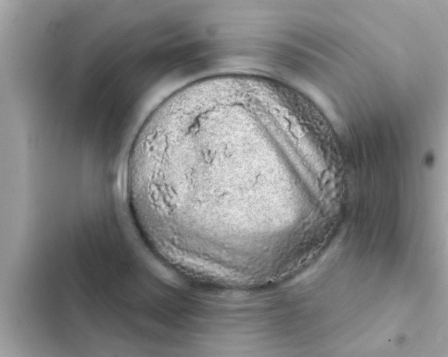 X0000102401371200808151934