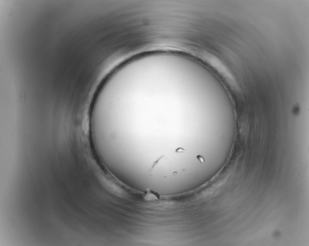 X0000102401372200808151934