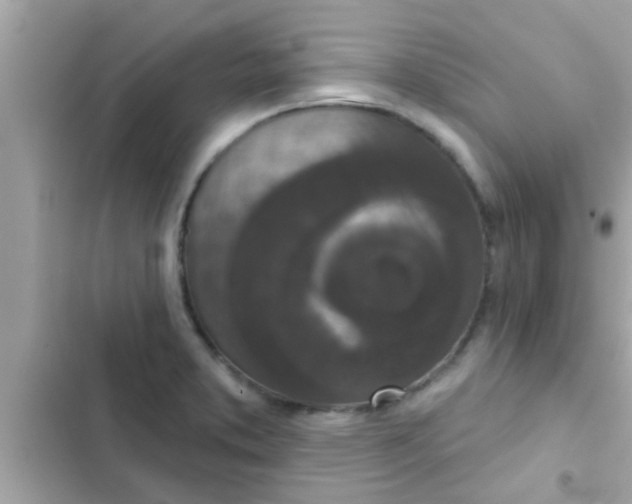 X0000102401373200808151934