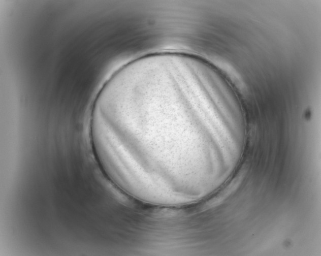 X0000102401374200808151934