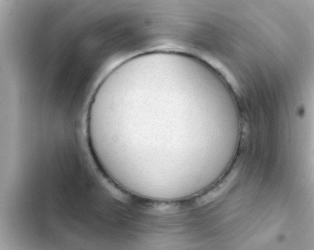 X0000102401375200808151934