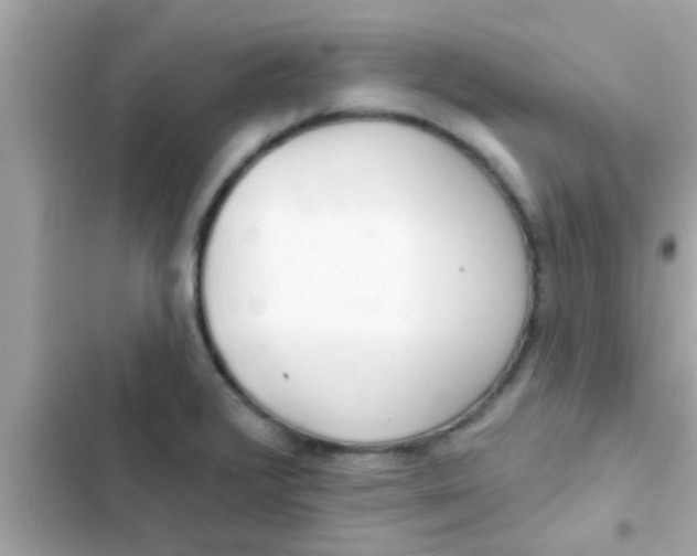 X0000102401376200808151934