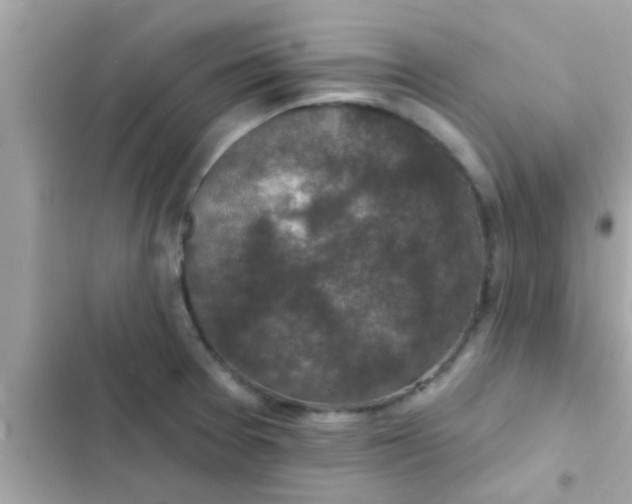 X0000102401377200808151934