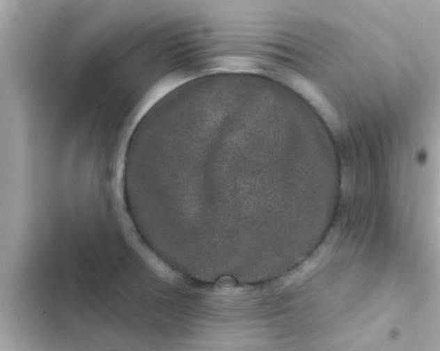 X0000102401378200808151933