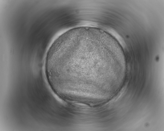 X0000102401379200808151933