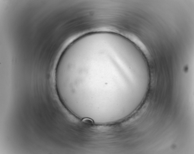 X0000102401380200808151933