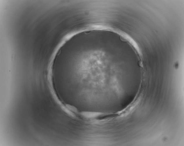 X0000102401381200808151933