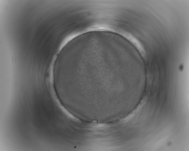 X0000102401382200808151933