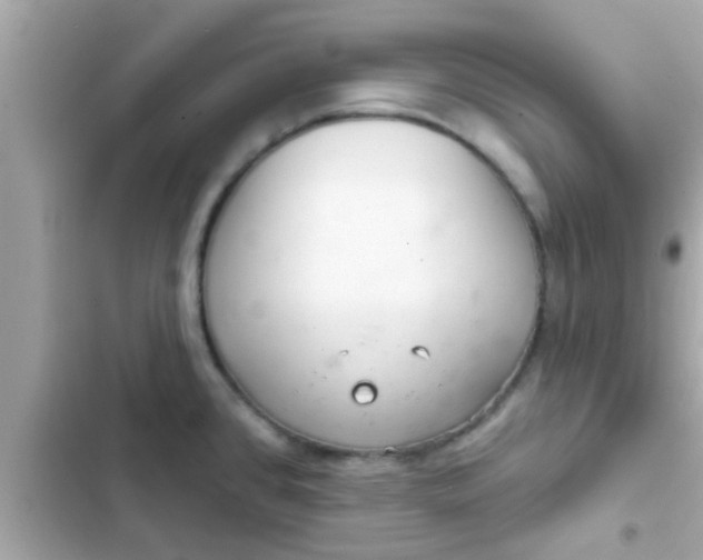 X0000102401384200808151933