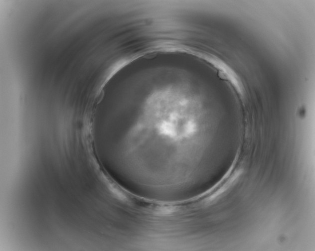 X0000102401385200808151933