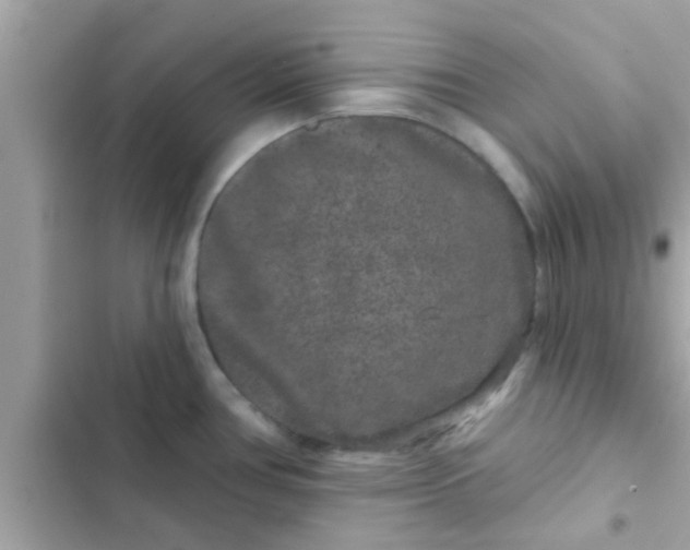 X0000102401386200808151933