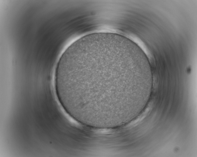 X0000102401387200808151933