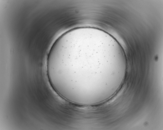 X0000102401388200808151933