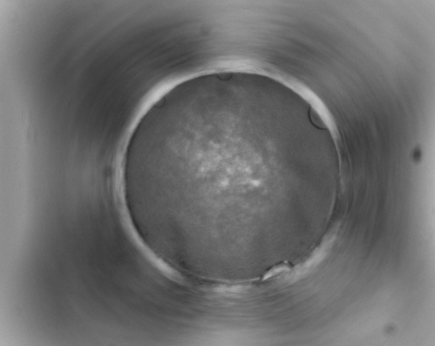 X0000102401389200808151933