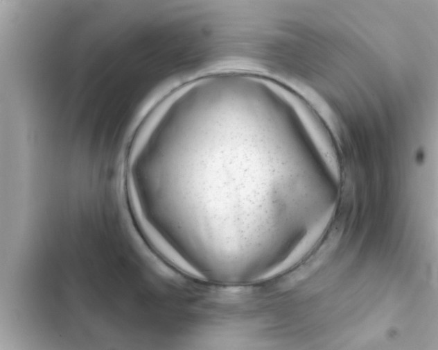 X0000102401390200808151933