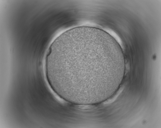 X0000102401391200808151933