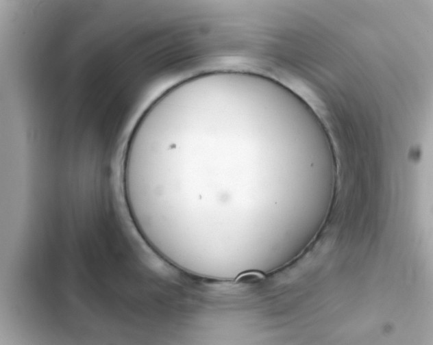 X0000102401392200808151933