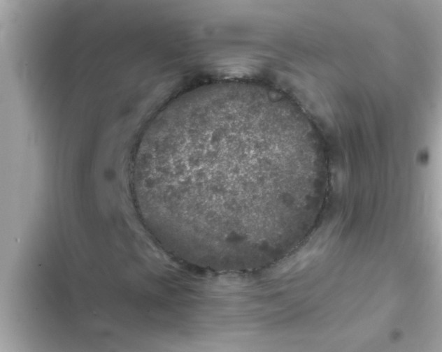 X0000102401393200808151933