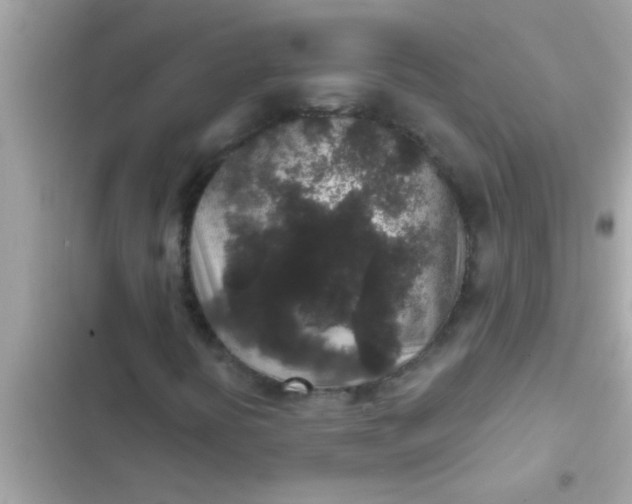 X0000102401394200808151933