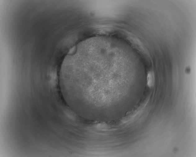 X0000102401395200808151933