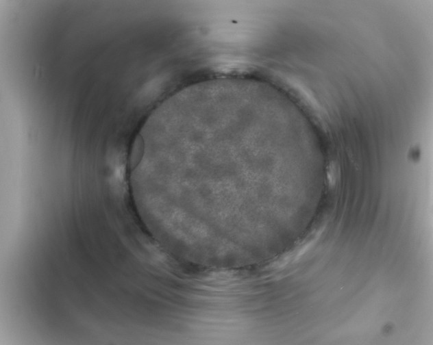 X0000102401396200808151933