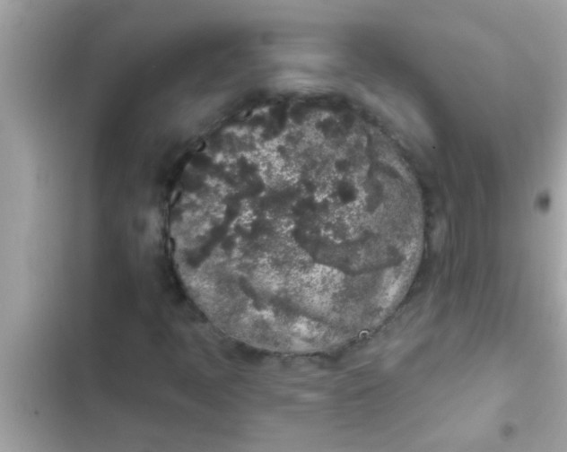 X0000102401397200808151933