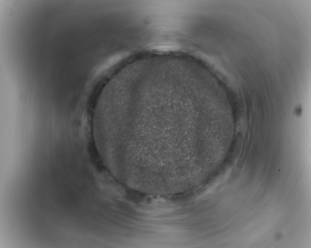 X0000102401398200808151933