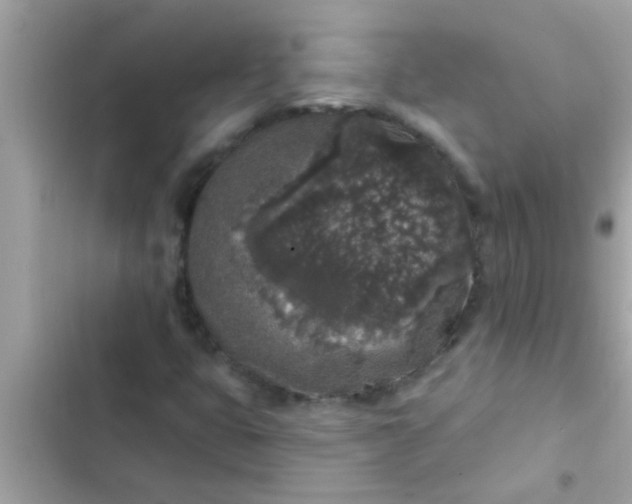 X0000102401399200808151933